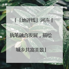 「地评线」河声丨执笔融合发展，描绘城乡共富美景
